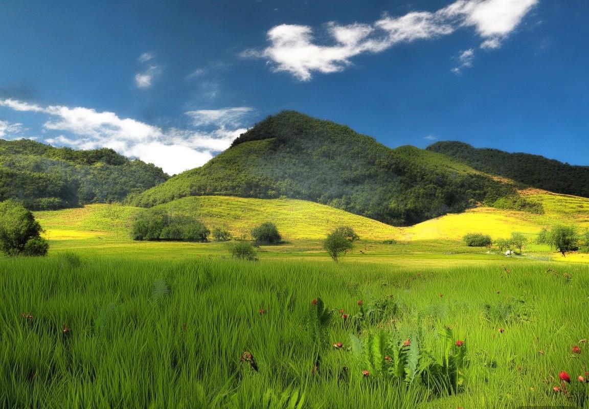 雷霆黄蜂巅峰对决：灵活战术与坚韧防守的较量(图2)